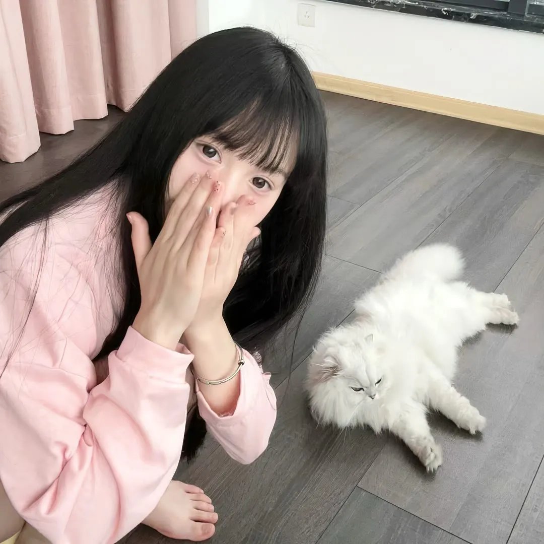 湾生回家