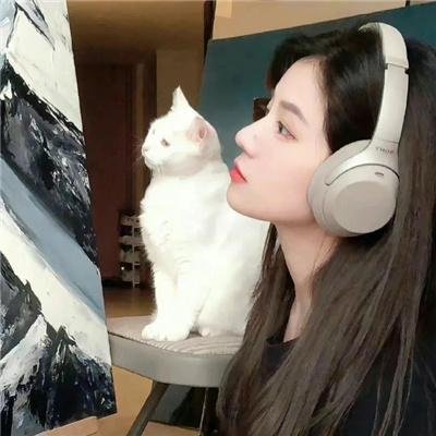 快递先生与贵妃小姐
