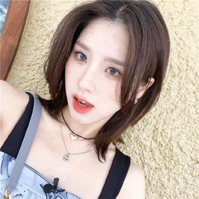 候鸟之爱